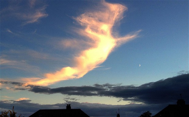 angel-cloud_Devon